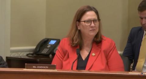 Rep. Julie Johnson giving remarks during a subcommittee hearing.